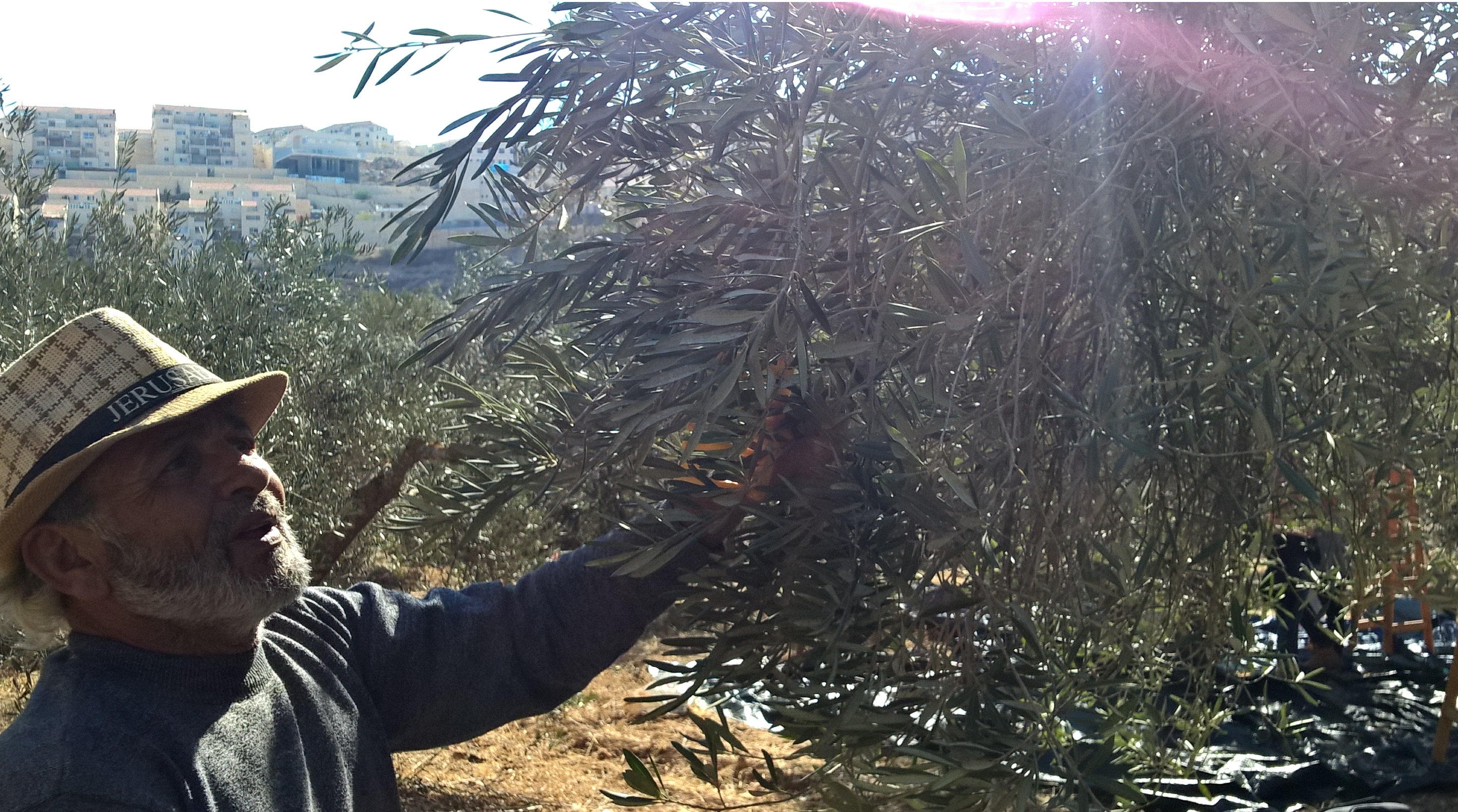 Wadi Fuqin 01