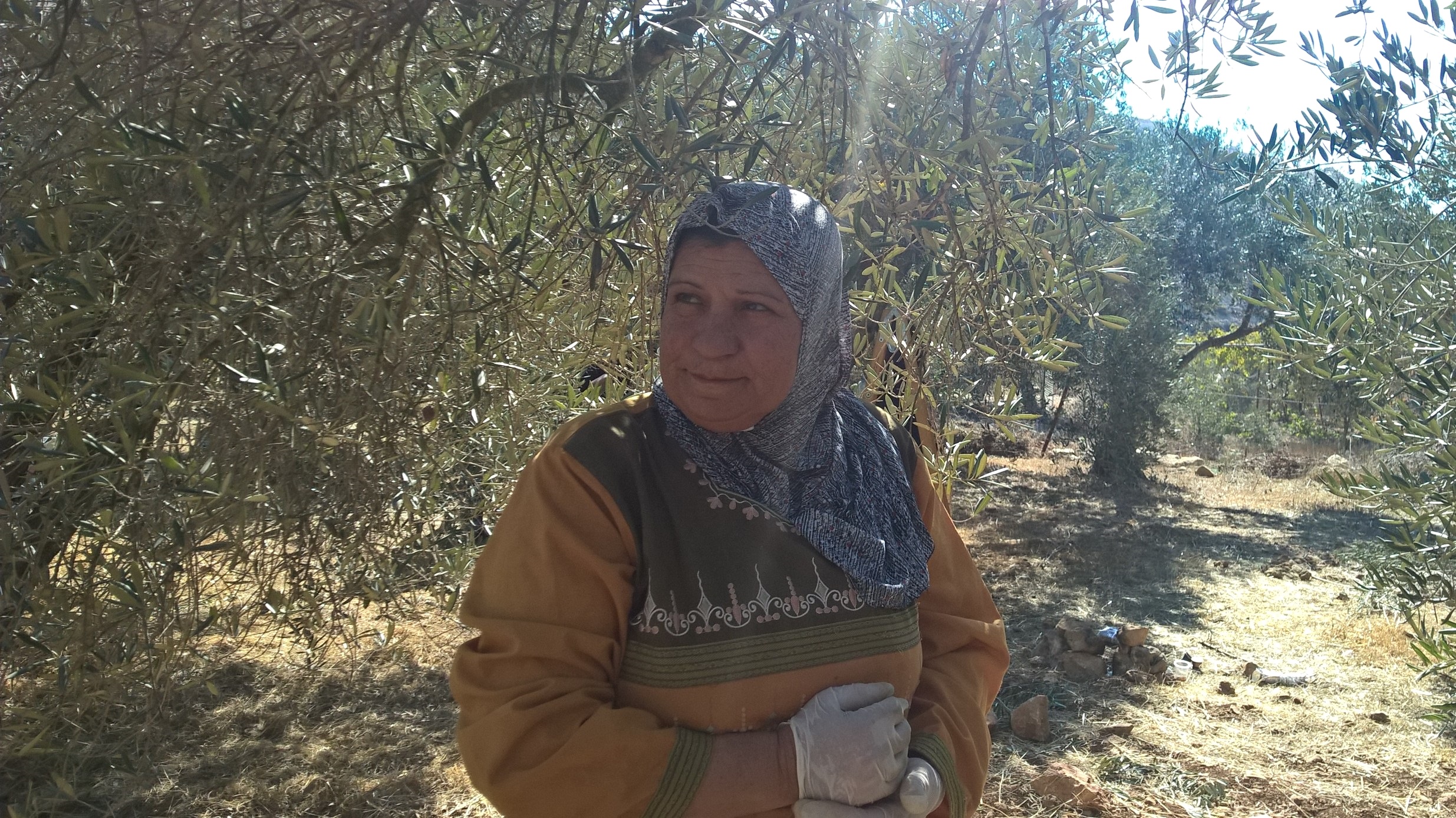 Wadi Fuqin 02